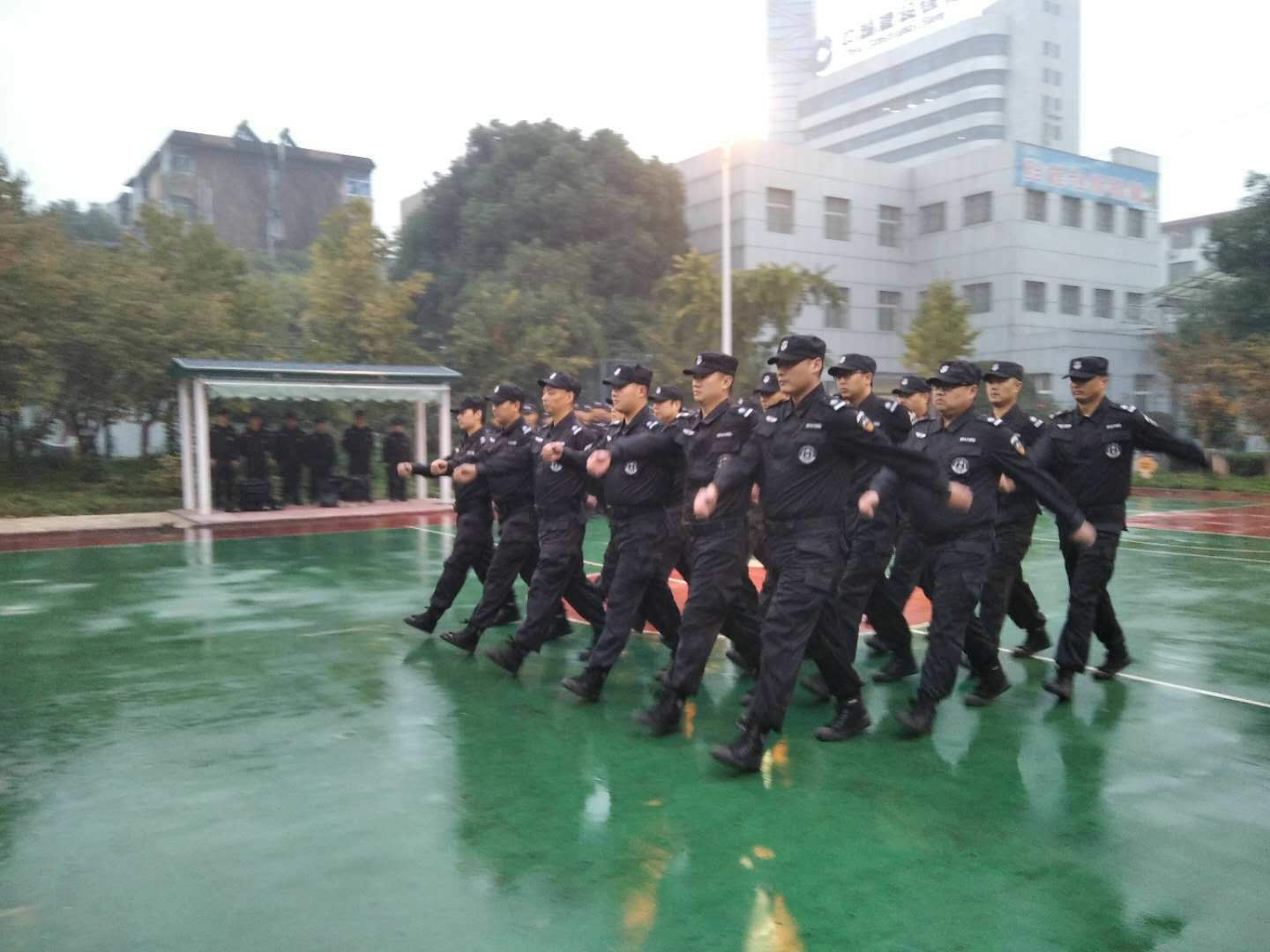 1604198305907678.jpg 1604198305907678.jpg