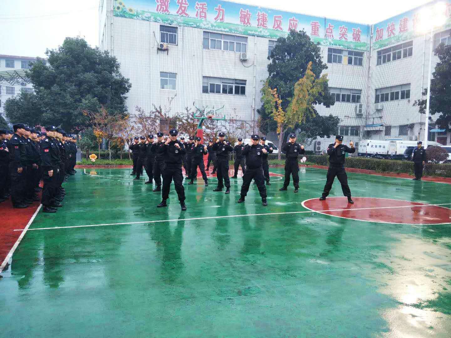 1604198326587993.jpg 1604198326587993.jpg