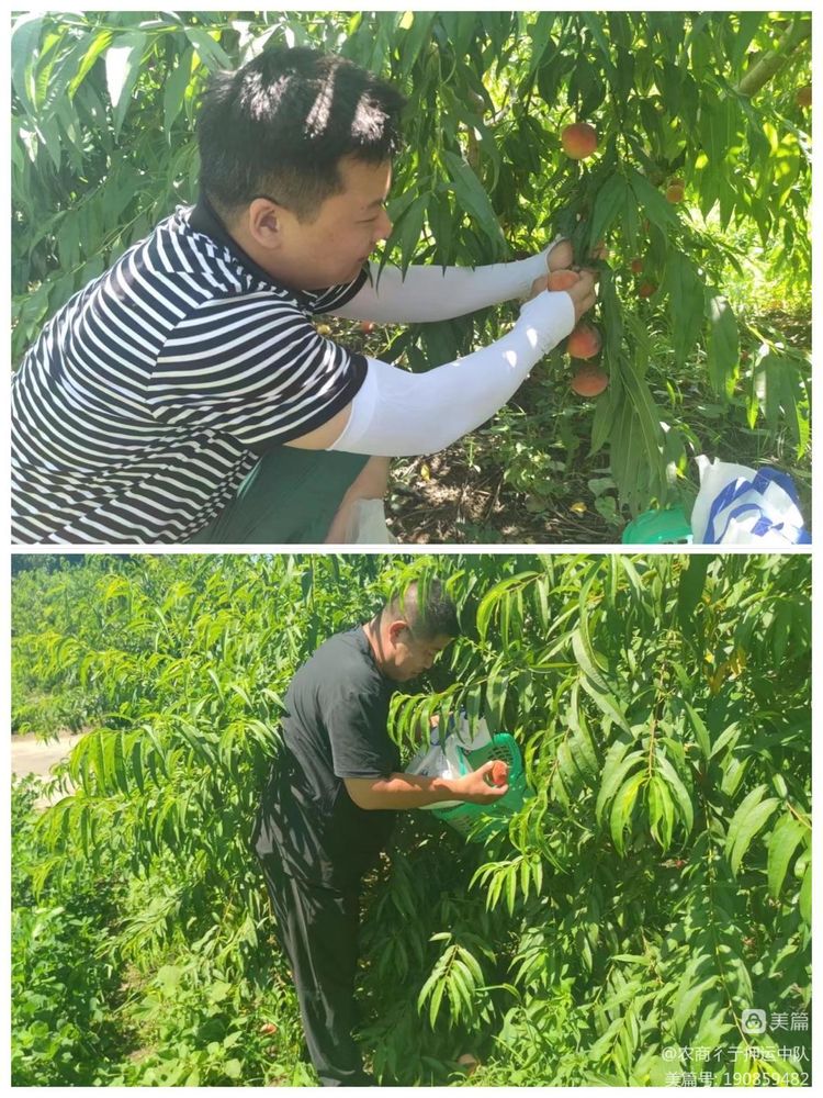 1688811131597789.jpg 1688811131597789.jpg