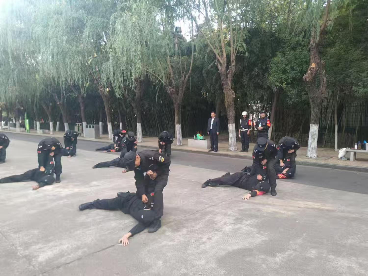 1730337579863880.jpg 1730337579863880.jpg