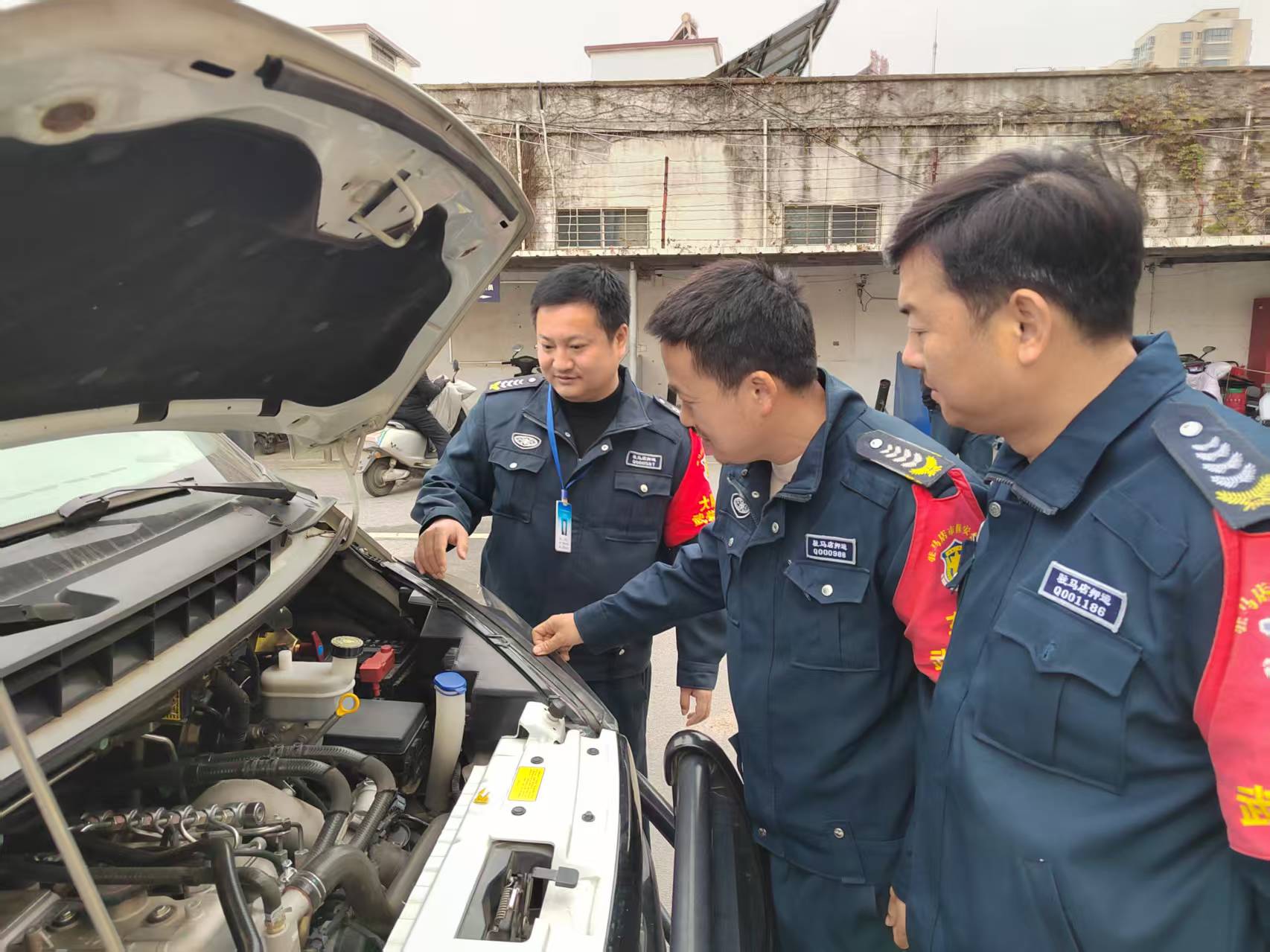 1737431365463297.jpg 1737431365463297.jpg