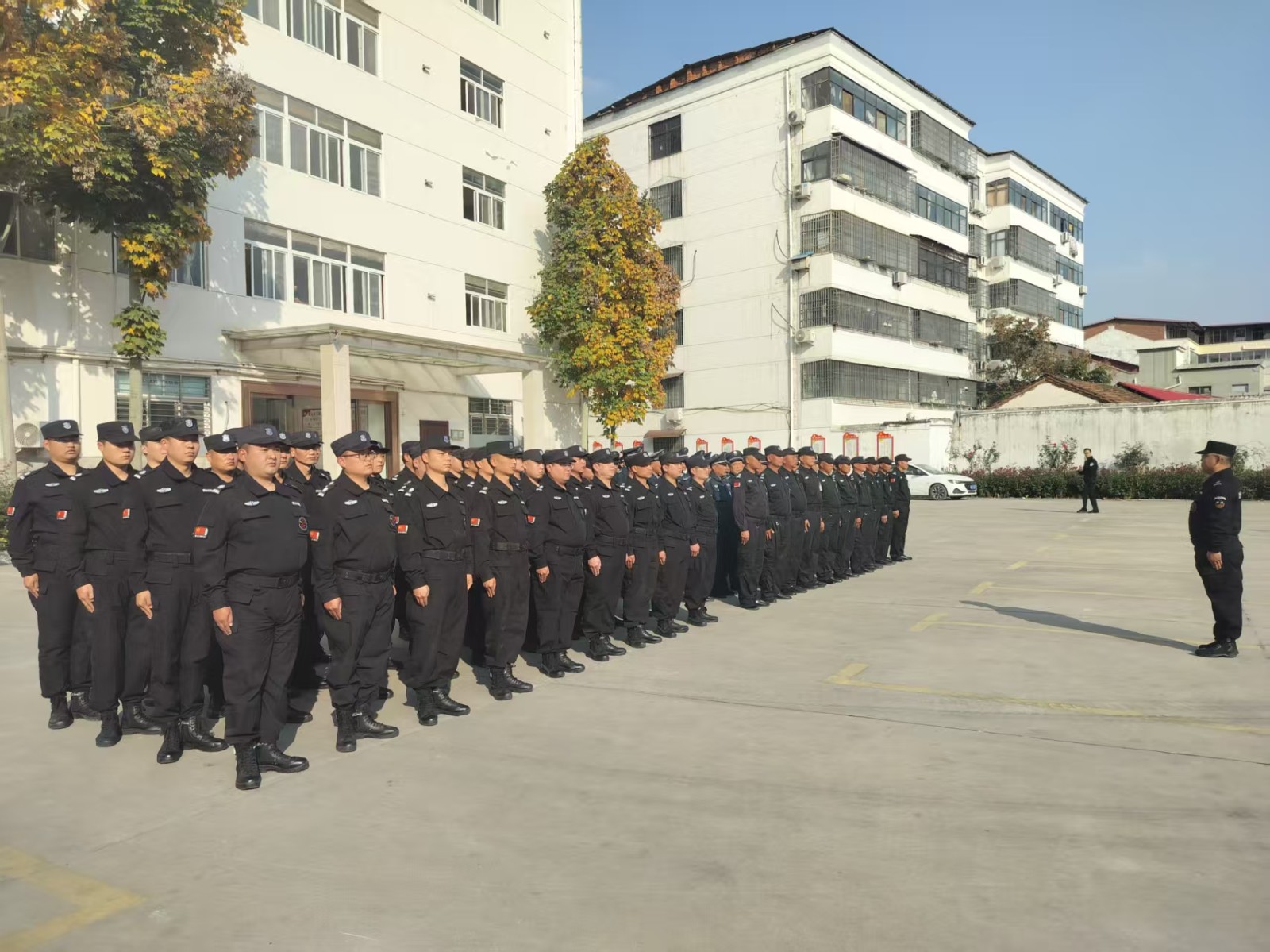 1762760265780145.jpg 1762760265780145.jpg